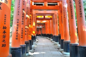 "Senbon Torii" ("thousands of torii gates")