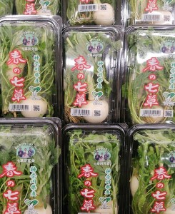 Packing ”Nanakusa” in the supermarket