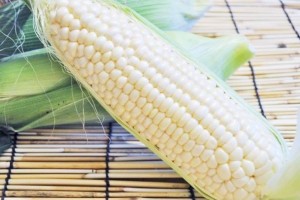 White corn "Pure white".