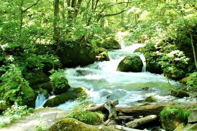 "Oirase Keiryu" (Oirase mountain stream).