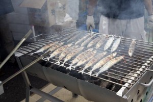 Grilled "sanma".