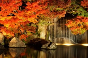 "Momiji" and waterfalls