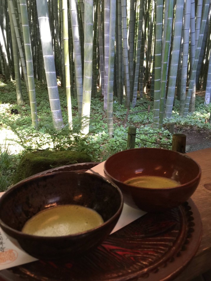 You can enjoy Japanese traditional tea with viewing the bamboo forest.
