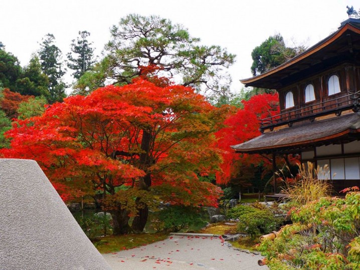 "Ginkaku-ji" with colored leaves