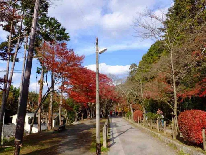 "Tetsugakuno-michi" in autumn
