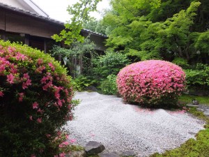 the beautiful "Zen" garden