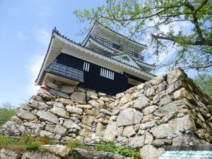 Hamamatsu Castle and "Ishigaki"