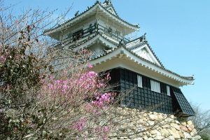 Hamamatsu Castle with cherry blossom