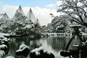 "Snow hanging" to be carried out in "Kenroku-en" Garden at Kanazawa are one of the "fuyu-gakoi". This is very beautiful and famous.