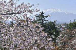 Sakura and Iwaki mountain from castle tower of Hirosaki Castle.