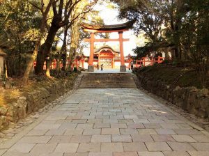”Usa torii” and "sei-dai mon"