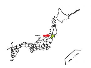 MIYAGI locate at Tohoku region, and it has huge plain so famous of rice production area.